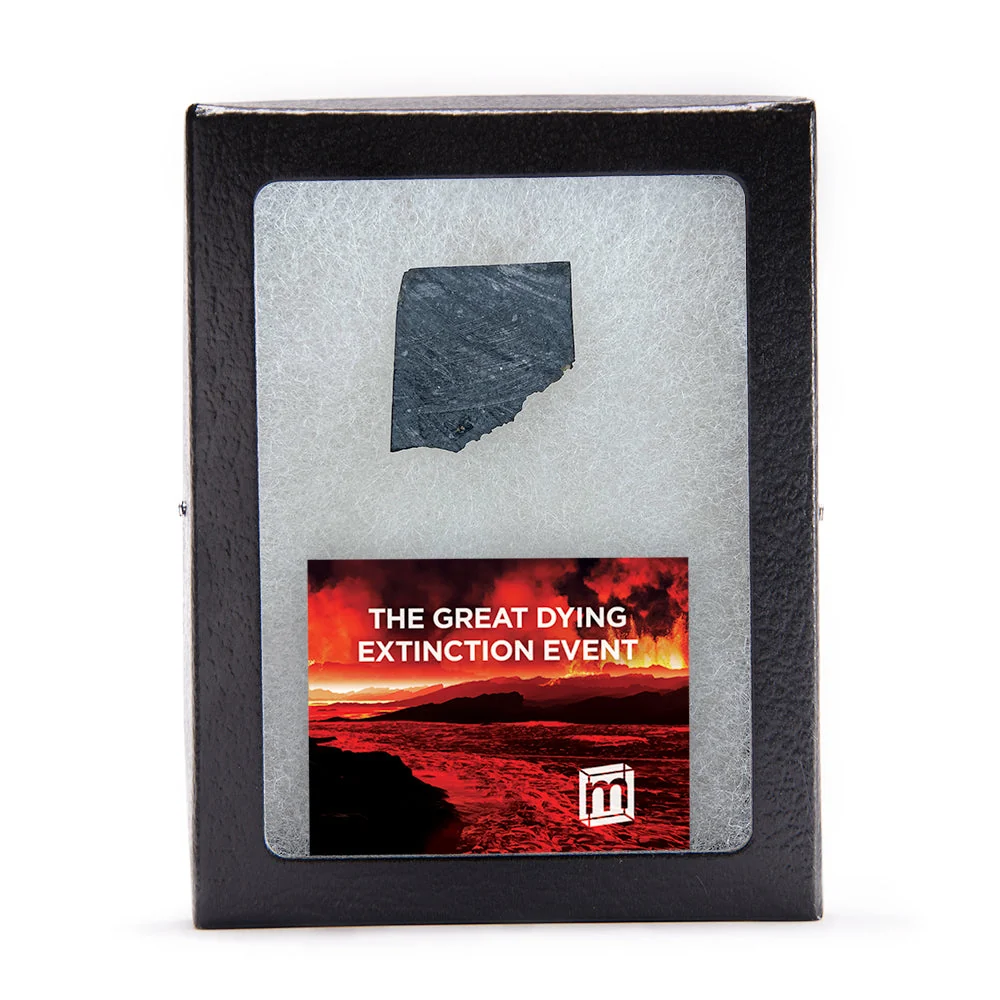The Great Dying Extinction Event - Siberian Traps Slab